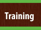 Training Services